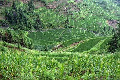 How to Visit China’s Rice Terraces | WildChina