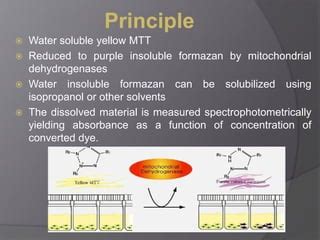 Mtt Assay for cell viability | PPT