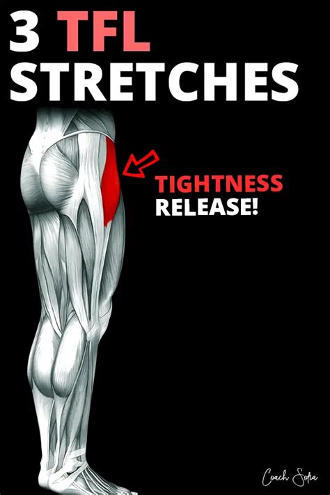 13 Essential Tensor Fascia Latae (TFL) Stretches (PDF Download) - Coach ...