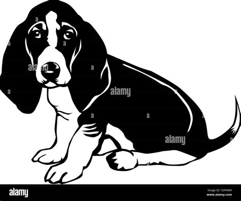 Basset Hound Clipart Black And White - img-brah