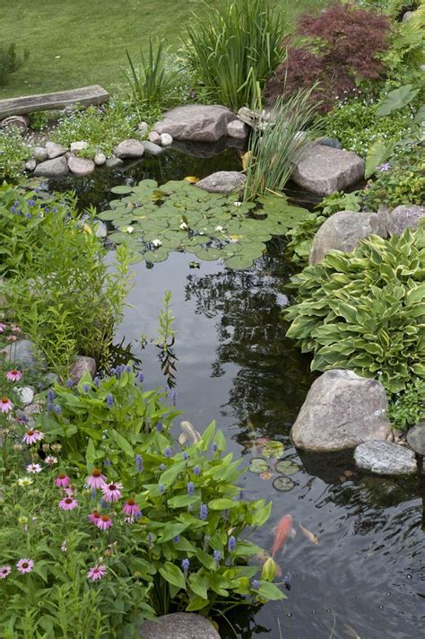 20+ Large Pond Edging Ideas – The Urban Decor