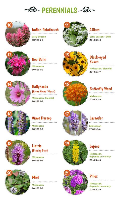 Pennsylvania Flowers For Bees | Best Flower Site