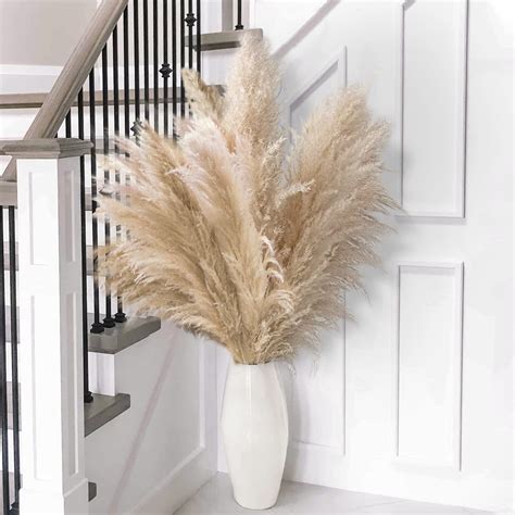 10pcs 40'' Tall Natural Dried Pampas Grass - Elegant Fluffy Pampas Grass for Floor Vase - Beige ...