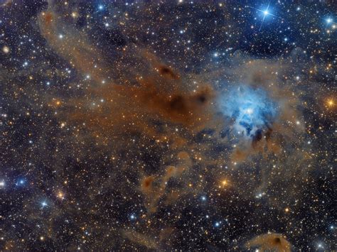 NGC 7023: la nebulosa Iris