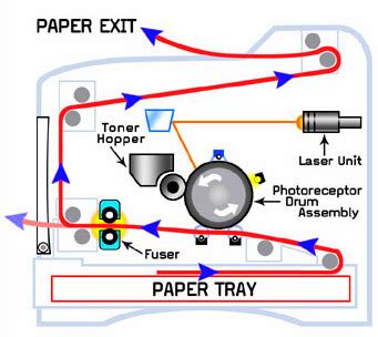 Limewit Tech Blog: Top 8 Laser Printer Care and Maintenance Tips