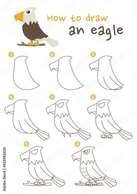 How to draw eagle bird vector illustration. Draw a eagle step by step ...