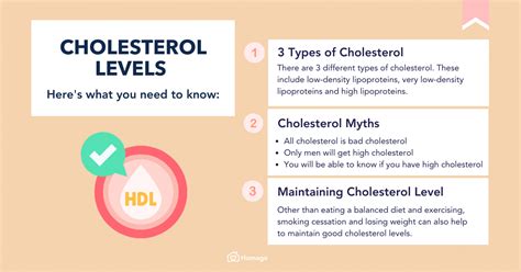 Hdl Vs Ldl Chart