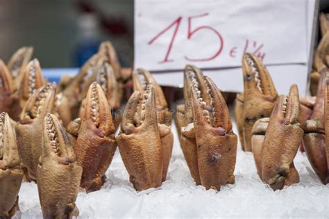 Crab Pincers on Sale stock image. Image of valencia, food - 58862303