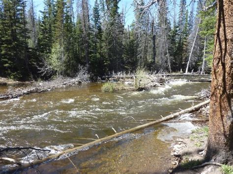 Green Mountain Falls Hiking Trail (Encampment) - 2020 What to Know ...