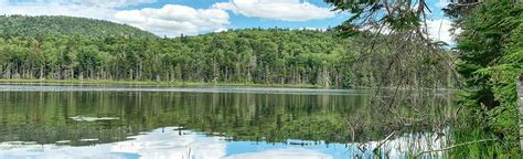 Kibby Pond Trail, New York - 87 Reviews, Map | AllTrails