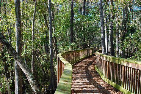 Hiking Florida | Florida Hikes!