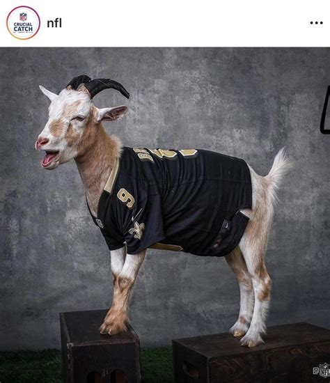 NFL Instagram showing the GOAT some love : r/Saints