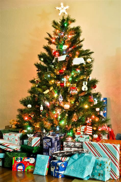 Free stock photo of christmas, christmas tree, gifts