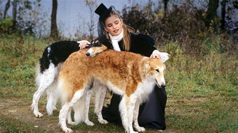 4 Russian dogs that were bred to hunt bears and wolves - Russia Beyond