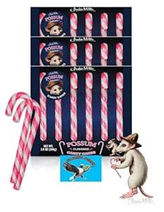 Amazon.com: Archie McPhee POSSUM Flavored Christmas Holiday Candy Canes 18 COUNT - Stocking ...