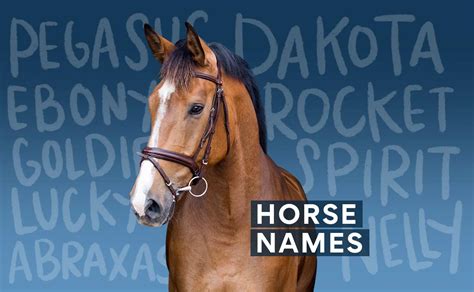 Horse Names: 200 Unique and Catchy Names for Horses | BeChewy