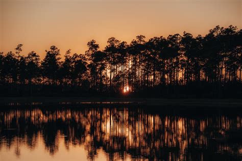 Silhouette of Trees near Lake during Sunset · Free Stock Photo