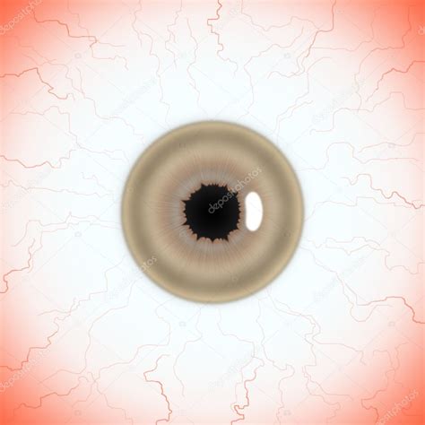 Human eye texture | Human eyes texture map — Stock Photo © endcy #11828544