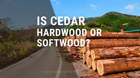 Is Cedar a Hardwood or Softwood? Cedar Strength and Uses