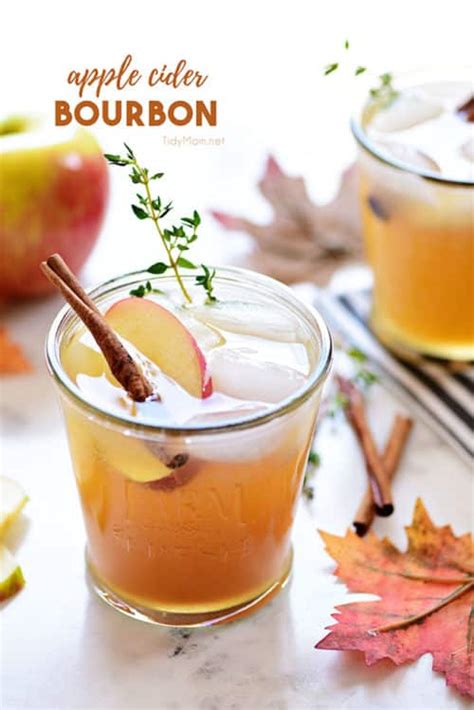 Easy Bourbon Apple Cider Cocktail {VIDEO} - TidyMom®