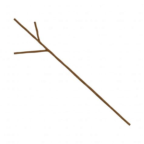 a stick with two long sticks sticking out of it's end, on a white ...