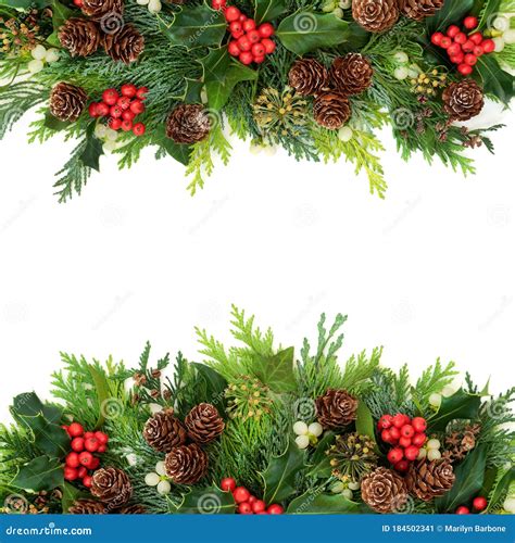 Traditional Winter Christmas and New Year Greenery Border Stock Image ...