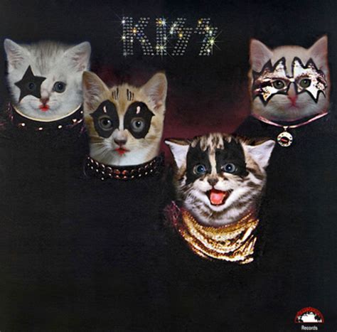 10 Album Covers Re-imagined with Cats