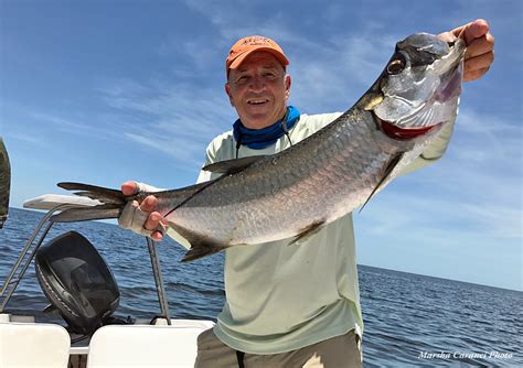 Campeche Tarpon - Fly Fishing Mexico