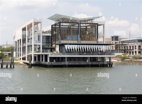 South Carolina Aquarium Stock Photo - Alamy