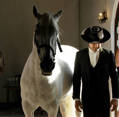 Free Images : man, artist, stallion, hat, black, portugal, white horse, horse like mammal ...