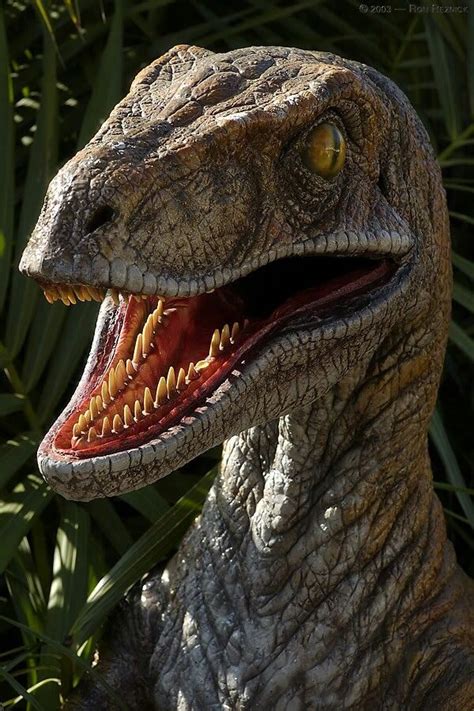 Jurassic park velociraptor | Dinosaur history, Prehistoric animals ...