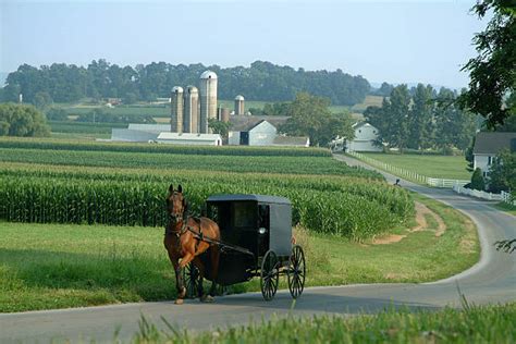 5,300+ Pennsylvania Amish Country Stock Photos, Pictures & Royalty-Free ...