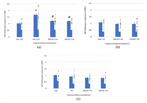 Relative gene expression analyses of dopamine transporter (DAT) in the... | Download Scientific ...