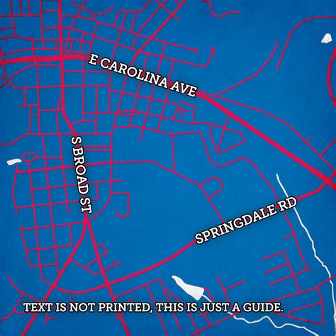 Presbyterian College Campus Map Art by City Prints - The Map Shop