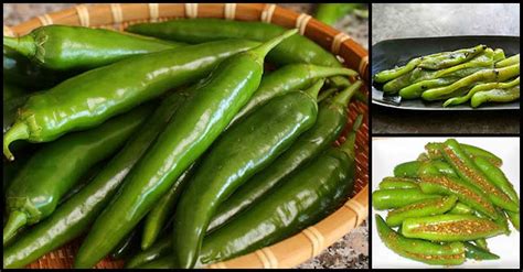 Healthy Spice: The Goodness Of Green Chili To Our Health - Dr. Farrah MD