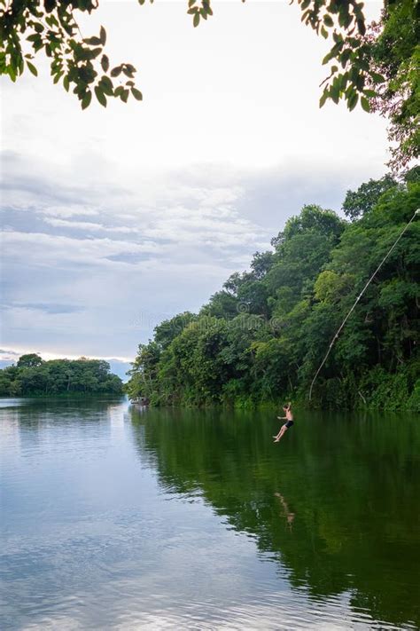 Vertical Shot of a Tourist Diving from a Rope Swing at the Peten Itza ...