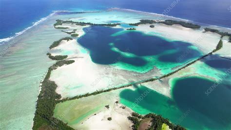 Palmyra Atoll coral research site, aerial - Stock Video Clip - K011 ...