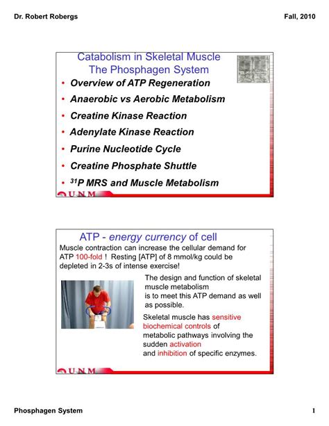 Catabolism in Skeletal Muscle the Phosphagen System - DocsLib