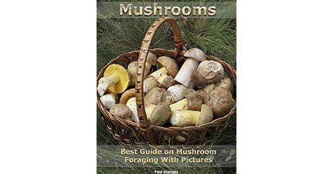Mushroom. Best Guide on Mushroom Foraging With Pictures: (Mushroom Foraging, Edible Mushroom In ...
