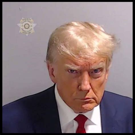 Fulton County Georgia Trump Mugshot Direct to Film (DTF) Heat Transfer T-579 – DOMAGRON