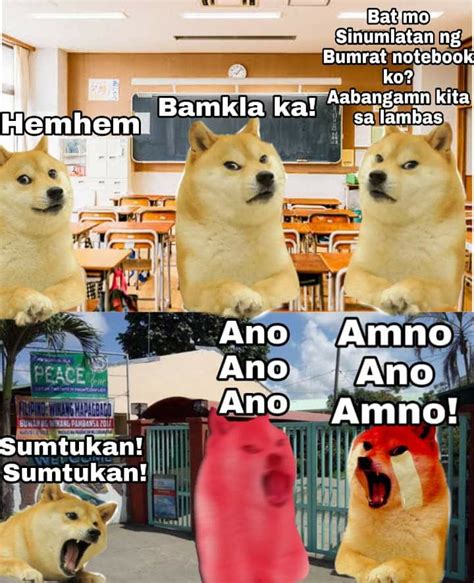 Pin by Ashi on doge & cheems | Doge meme, Memes, Doge