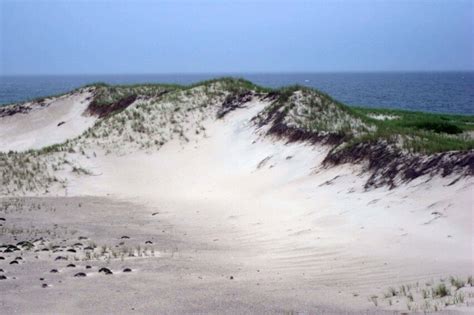 Free picture: sand, dune, Monomoy, national park