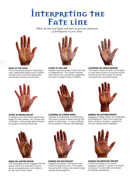 Interpreting the fate line | Palm reading, Palmistry, Palmistry reading