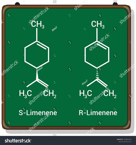 Chemical Structure Limonene C10h16 Stock Vector (Royalty Free ...