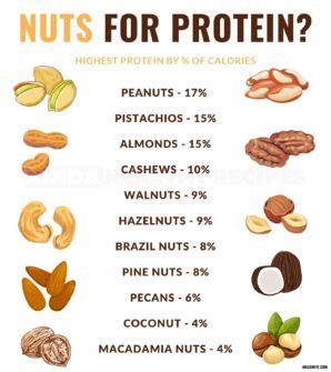 The Top 20 Highest Protein Nuts and Seeds