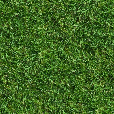 HIGH RESOLUTION TEXTURES: Green lush grass texture