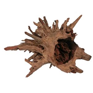 Aquarium Wood Options – FishCove Aquatics