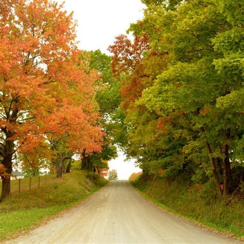 Amish Country Attractions | Area Guide | Things to Do in Berlin, Ohio