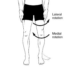 Knee Pain Wringing Out - Gait Deviation - Damien Howell PT