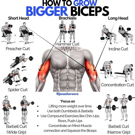 ꜱᴀᴠᴇ ɪᴛ ꜰᴏʀ ʟᴀᴛᴇʀ - 𝙏𝘼𝙂 𝘼 𝙁𝙍𝙄𝙀𝙉𝘿 𝙏𝙃𝘼𝙏... | Exercice musculation biceps ...